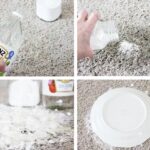Removing Human Urine Smell from Carpet: Effective Home Remedies
