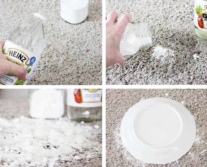 Removing Human Urine Smell from Carpet: Effective Home Remedies