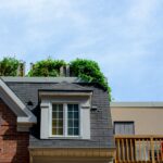 Discover the Best Eco-Friendly Roofing Solutions for Your Home