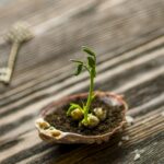 Transform Your Life: Actionable Lifestyle Practices for Personal Growth